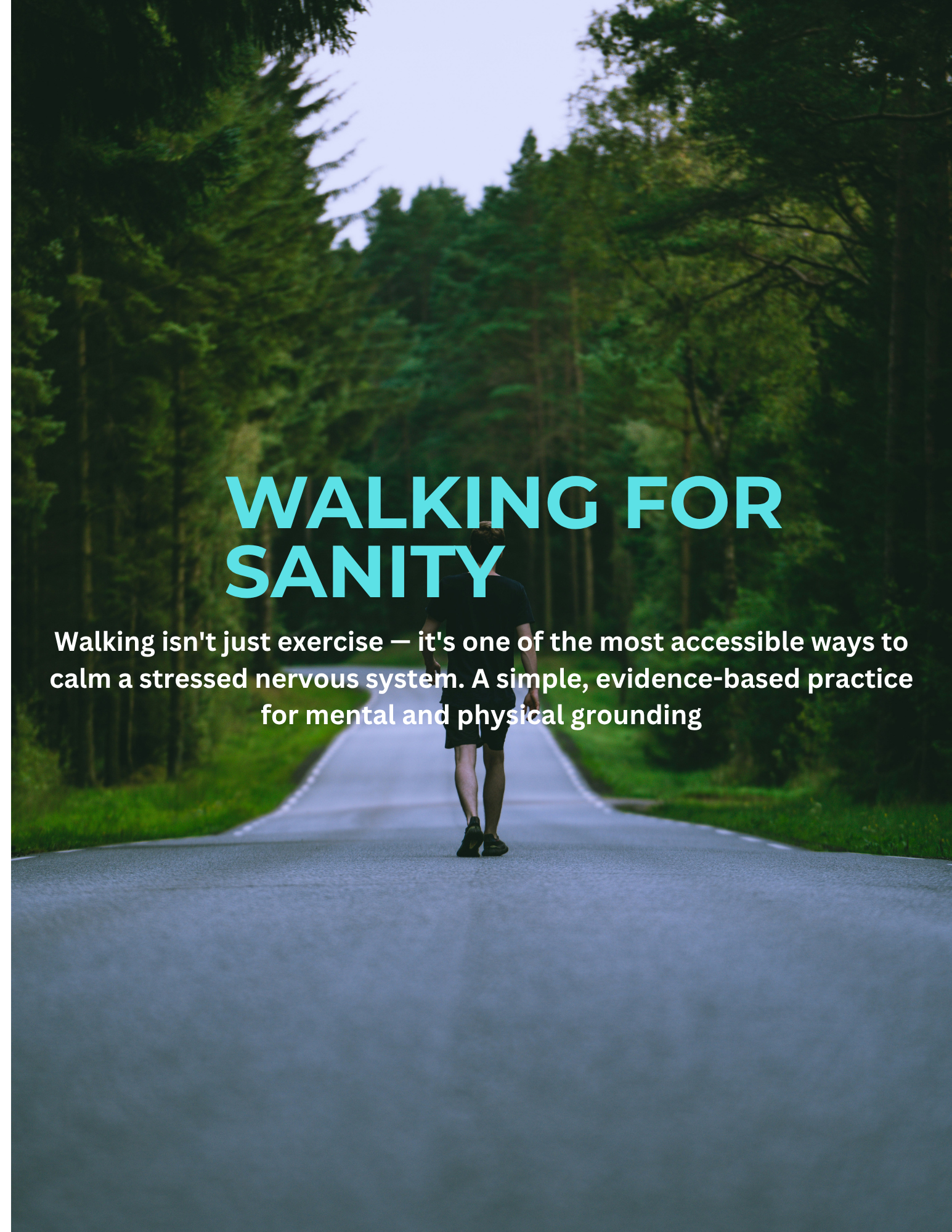 Walking for Sanity